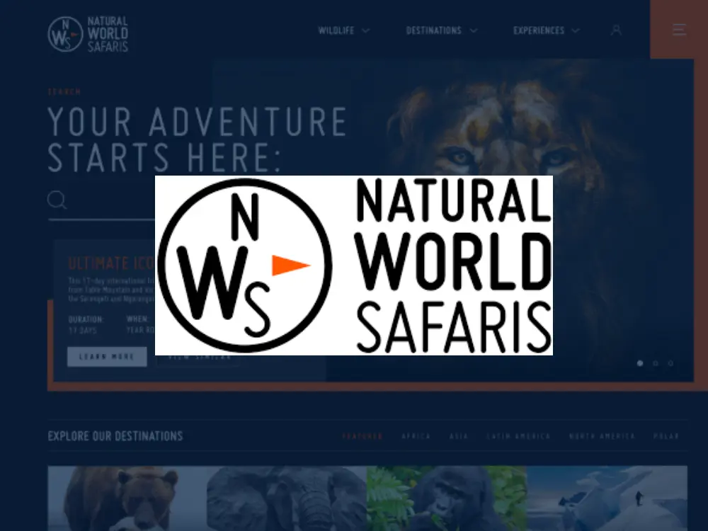 Natural World Safaris: a 2,000-page site rebuilt in five months, rankings intact