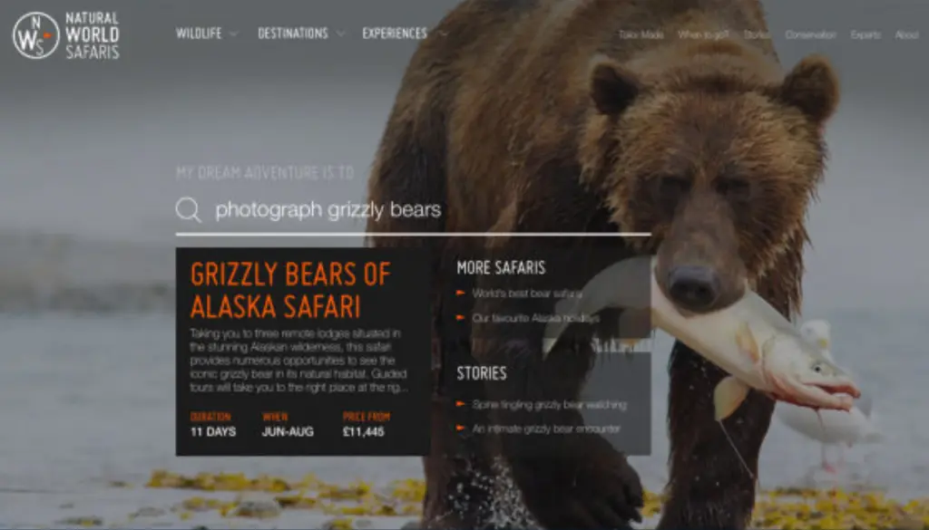 The Natural World Safaris website, showing a brown bear.
